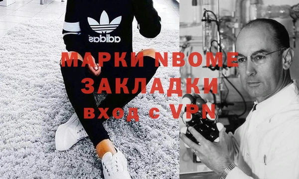 индика Абаза