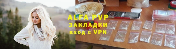 apvp Алзамай