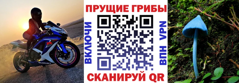 мега Бокситогорск Галлюциногенные грибы мицелий